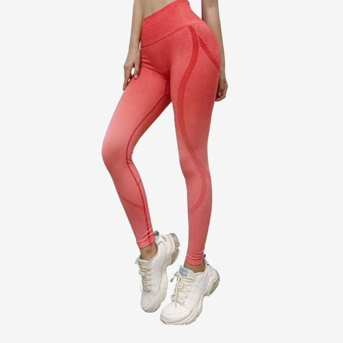 Gradient Colour Curvy Shape Sports Legging